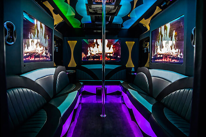 20-passenger party bus